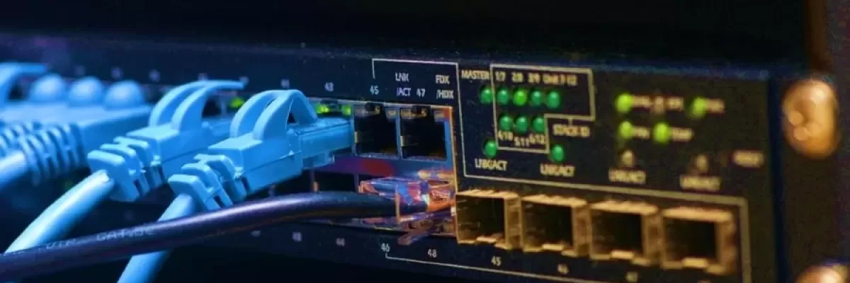 Simplify Your Network with Unmanaged Switches