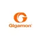 Gigamon