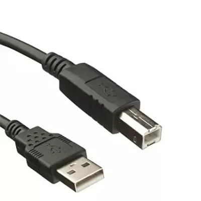 RTS USB 2 High Speed Printer Scanner Cable A Male to B Male RTS USB 2 High Speed Printer Scanner Cable A Male to B Male