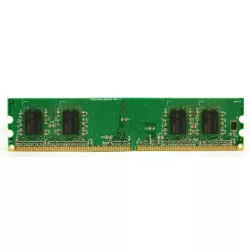 Dynet 256MB DDR2 Server Ram DNHM5U256C8FE-A5