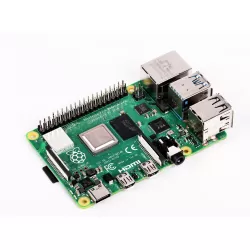 Raspberry Pi 4 Model B with 2 GB RAM